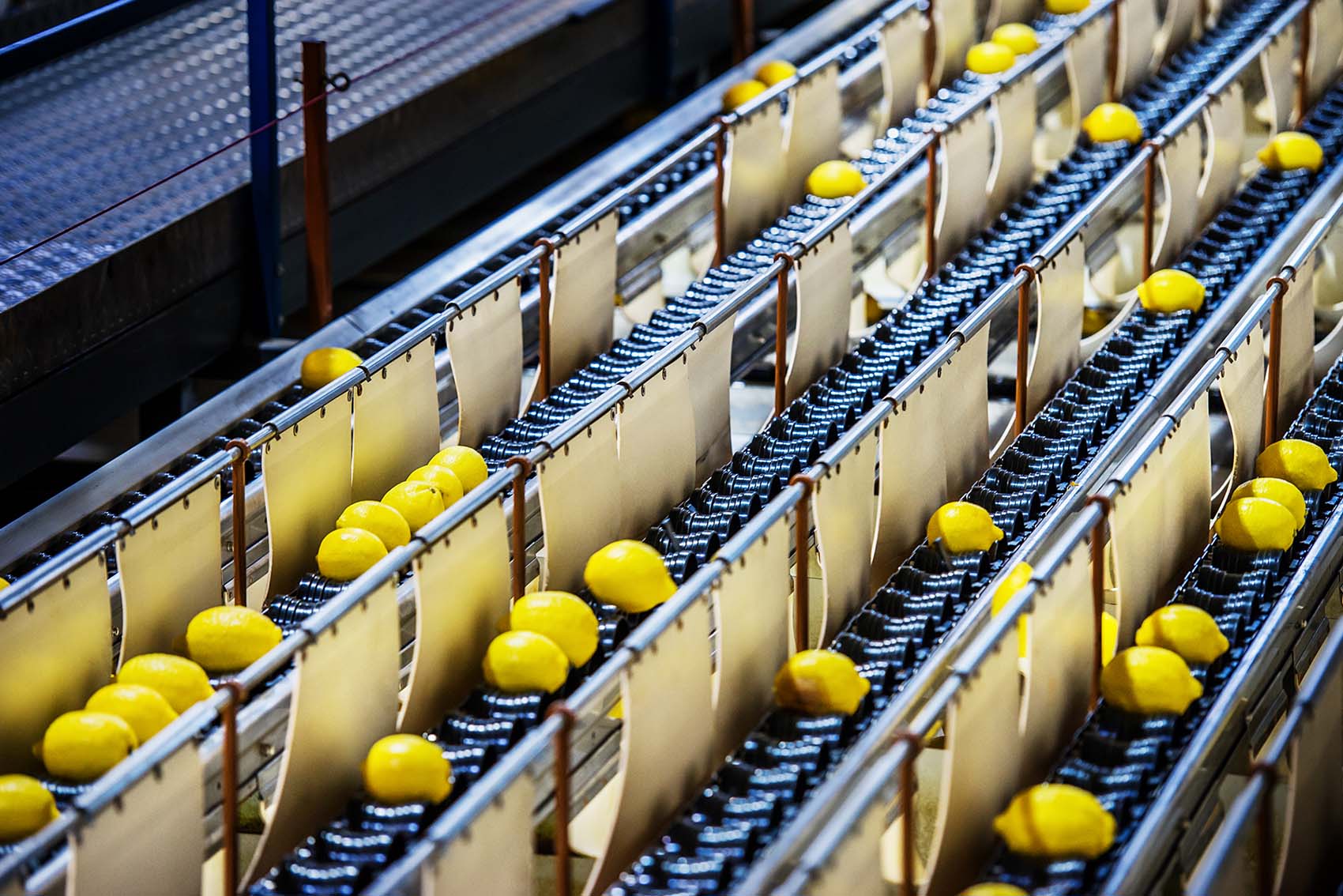 DSC_5602 as Smart Object-1_2 copia