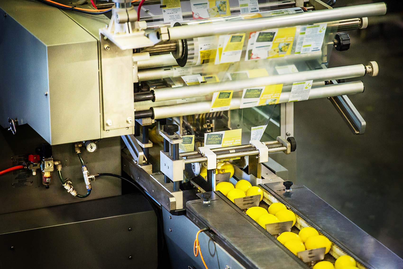 DSC_5623 as Smart Object-1